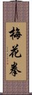 梅花拳 Scroll