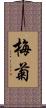 梅菊 Scroll