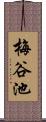 梅谷池 Scroll