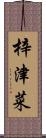 梓津菜 Scroll
