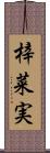 梓菜実 Scroll