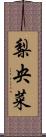梨央菜 Scroll