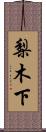 梨木下 Scroll