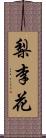 梨李花 Scroll