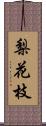 梨花枝 Scroll