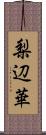 梨辺華 Scroll