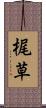 梶草 Scroll