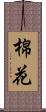 棉花 Scroll