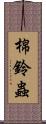 棉鈴蟲 Scroll