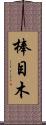 棒目木 Scroll