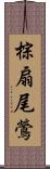 棕扇尾鶯 Scroll