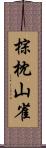 棕枕山雀 Scroll