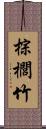 棕櫚竹 Scroll