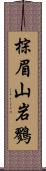 棕眉山岩鷚 Scroll