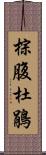 棕腹杜鵑 Scroll