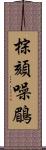 棕頦噪鶥 Scroll