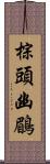 棕頭幽鶥 Scroll