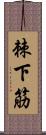 棘下筋 Scroll