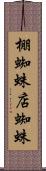 棚蜘蛛 Scroll