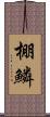 棚鱗 Scroll