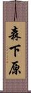 森下原 Scroll