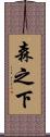 森之下 Scroll