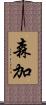 森加 Scroll