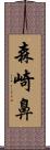 森崎鼻 Scroll