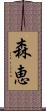 森恵 Scroll