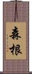 森根 Scroll