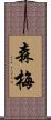 森梅 Scroll