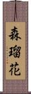 森瑠花 Scroll