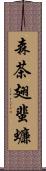 森茶翅蜚蠊 Scroll