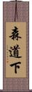 森道下 Scroll