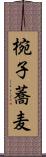 椀子蕎麦 Scroll