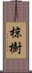 椋樹 Scroll