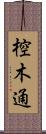 椌木通 Scroll