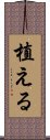 植える Scroll