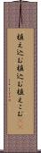 植え込む Scroll