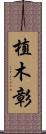 植木彰 Scroll