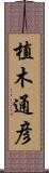 植木通彦 Scroll