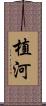 植河 Scroll
