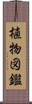 植物図鑑 Scroll