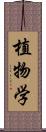 植物学 Scroll