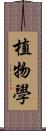 植物學 Scroll