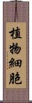 植物細胞 Scroll