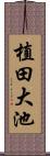 植田大池 Scroll