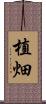 植畑 Scroll