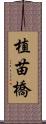 植苗橋 Scroll