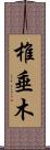 椎垂木 Scroll